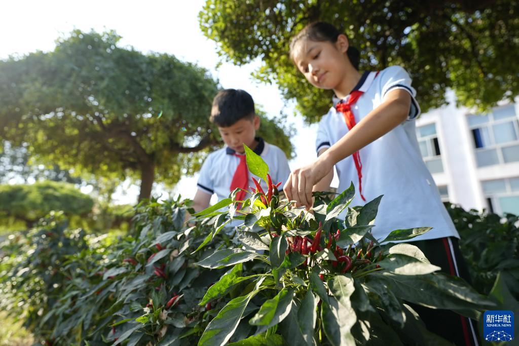 宝马奔驰3555在线平台